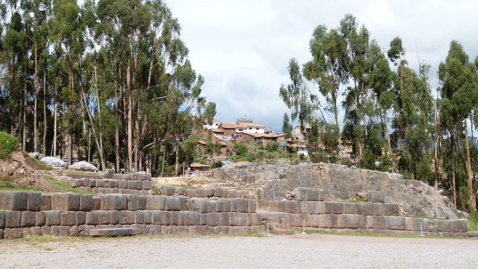 Eucaliptos cerca de Cusco