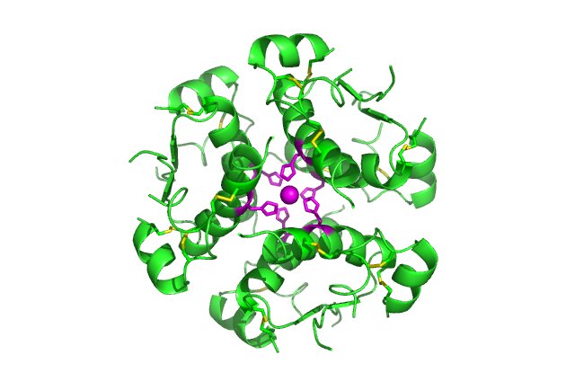 Hexámero de Insulina