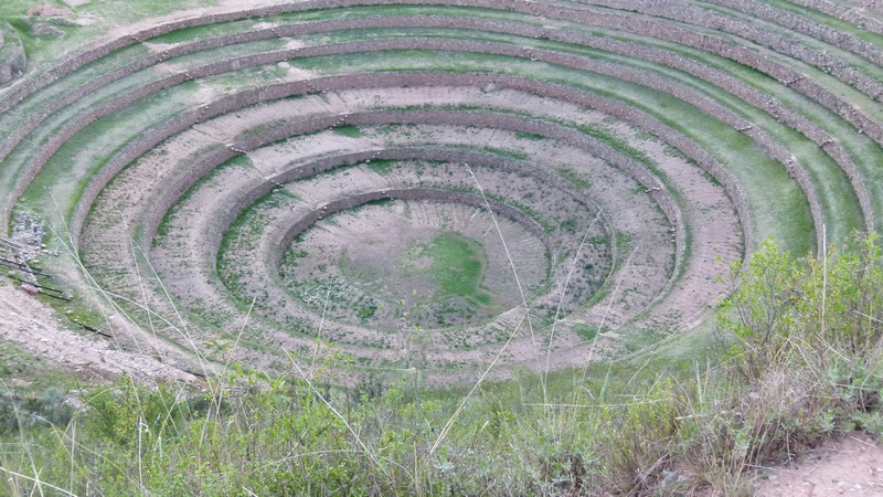 Moray