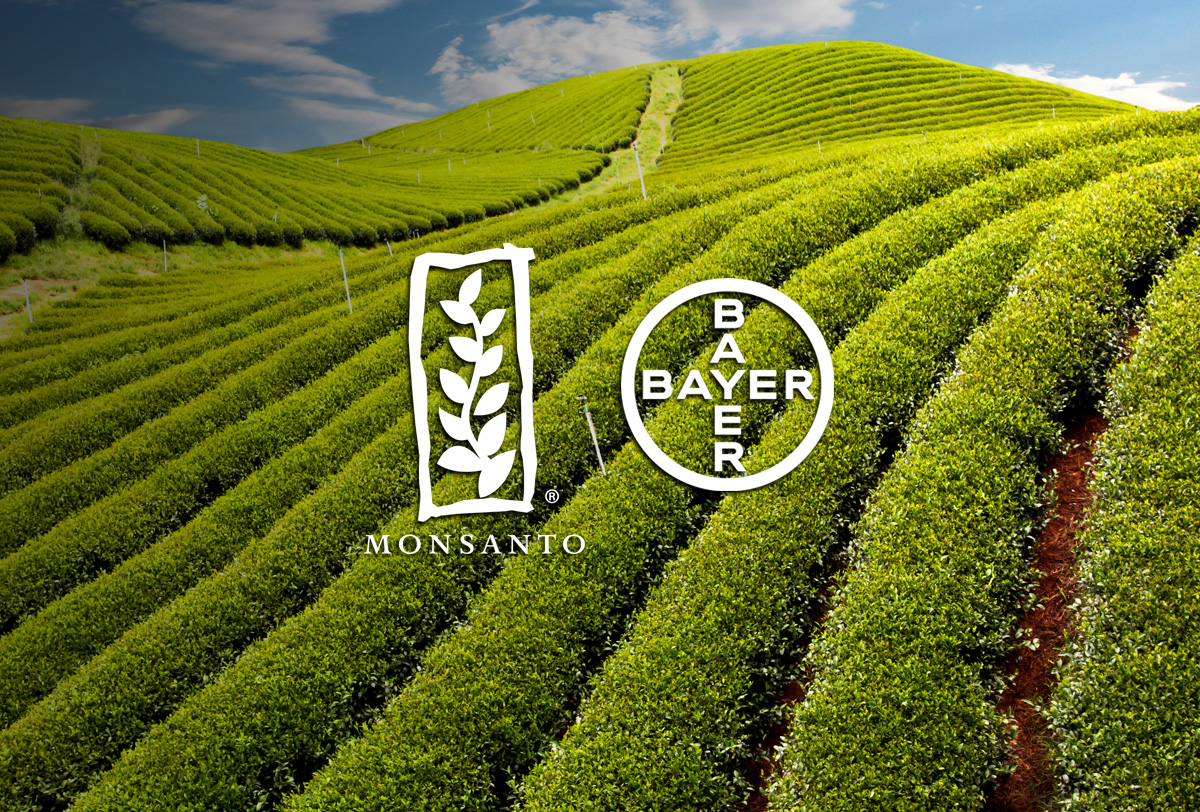 Bayer adquiere Monsanto